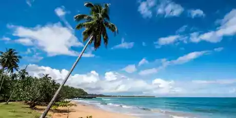 Les 3 régions de la Belgique, Bruxelles Région flamande et Région wallonne  reçoivent l’artisan du web, La commune bruxelloise légalement bilingue français-néerlandaisLa Flandre comporte cinq provinces avec Anvers Antwerpen, Province du Brabant Flamand Vlaams-Brabant avec pour chef-lieu Louvain Leuven, Flandre-Occidentale West-Vlaanderen Bruges Brugge, Flandre-Orientale Oost-Vlaanderen chef-lieu Gand Gent, Limbourg Limburg Hasselt, La Wallonie comporte également cinq provinces du Brabant wallon avec pour chef-lieu Wavre, le Hainaut avec Mons, Liège, Province de Luxembourg avec pour chef-lieu Arlon, Namur, Région de Bruxelles-Capitale, Charleroi, Gand, Hasselt, Louvain, Maline